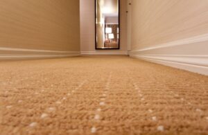 commercial carpet cleaning fredericksburg
