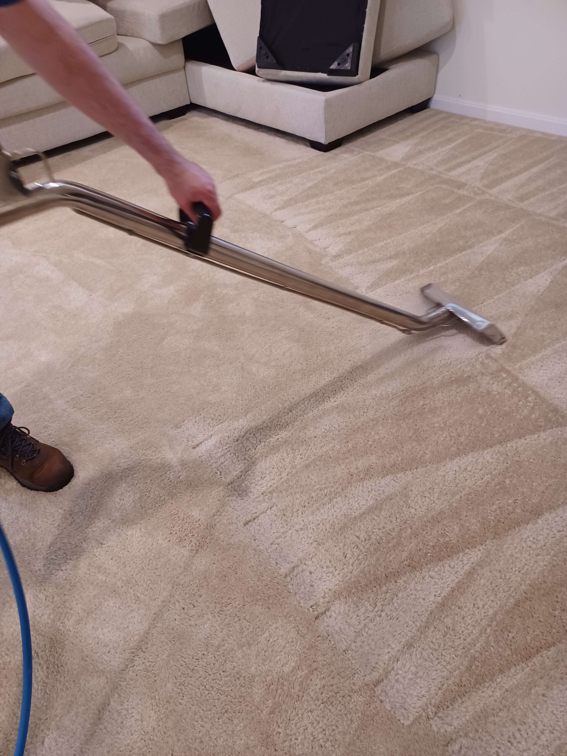 Carpet Cleaning Services In Fredericksburg, VA