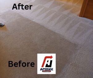 Carpet Cleaning Fredericksburg March 2023