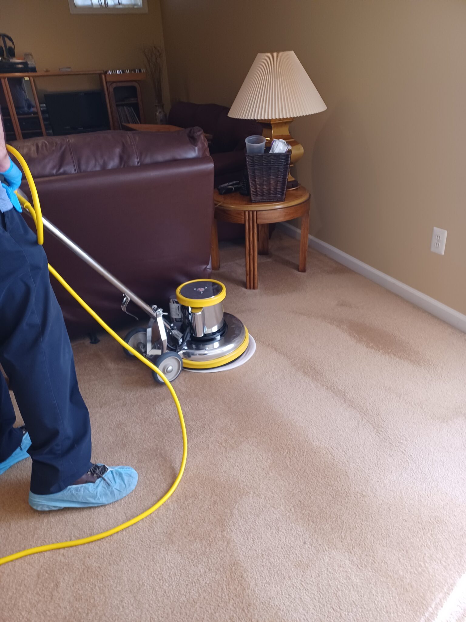 How to Clean Carpets with Low Moisture Techniques Apogee Hardwood