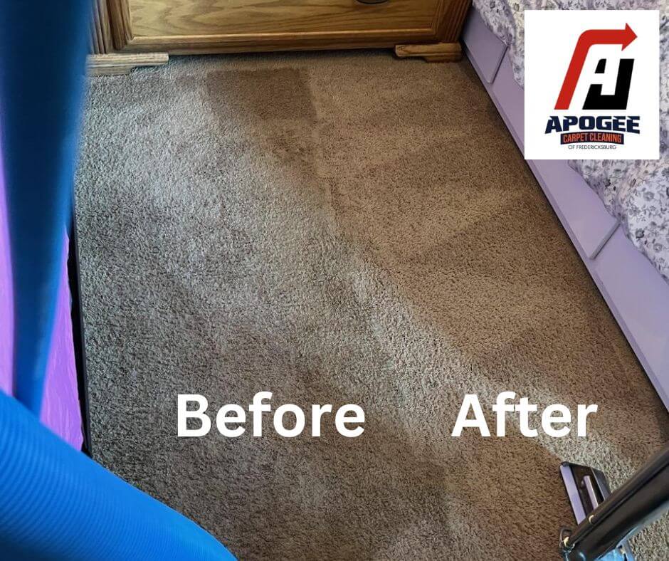 How to Clean Carpets with Hot Water Extraction Techniques Apogee
