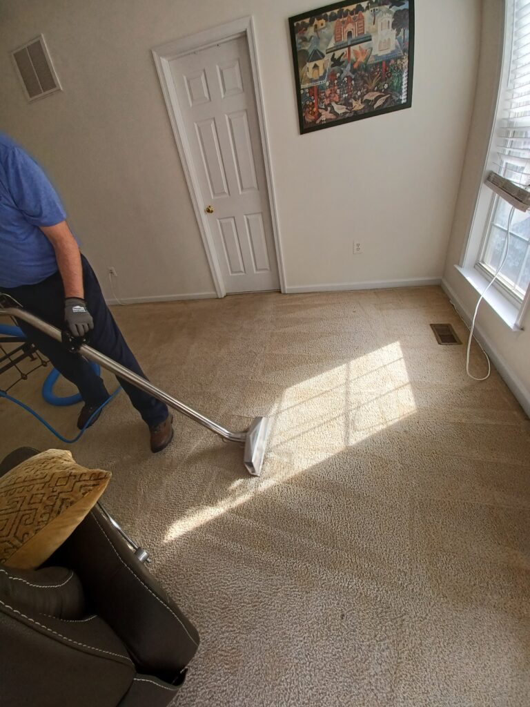 Hot Water Extraction vs Low Moisture Carpet Cleaning Which Method is